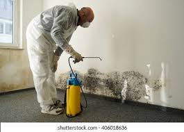 Best Mold Removal for HVAC Installations  in , WA